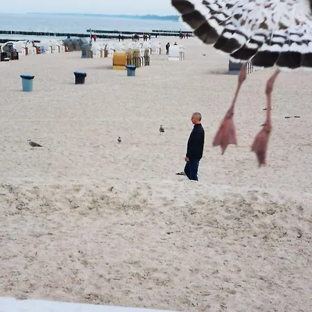 Prywatny Salon Z Aneksem Kuchennym I Sypialnia W Diva * 科沃布热格