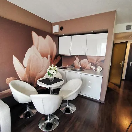 아파트 Prywatny Salon Z Aneksem Kuchennym I Sypialnia W Diva *