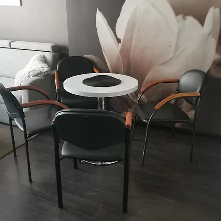 Prywatny Salon Z Aneksem Kuchennym I Sypialnia W Diva Apartment