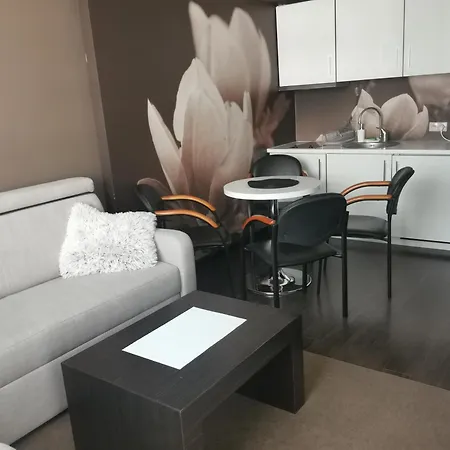 Prywatny Salon Z Aneksem Kuchennym I Sypialnia W Diva *
